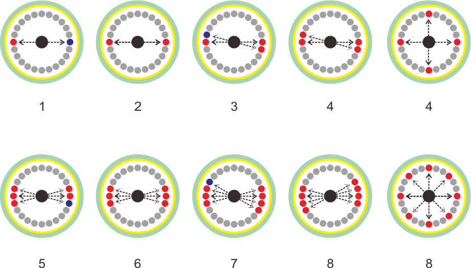 balance a centrifuge with a 24 place angle rotor