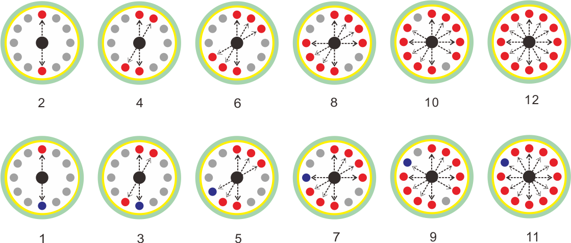 balance a centrifuge with a 12 place angle rotor